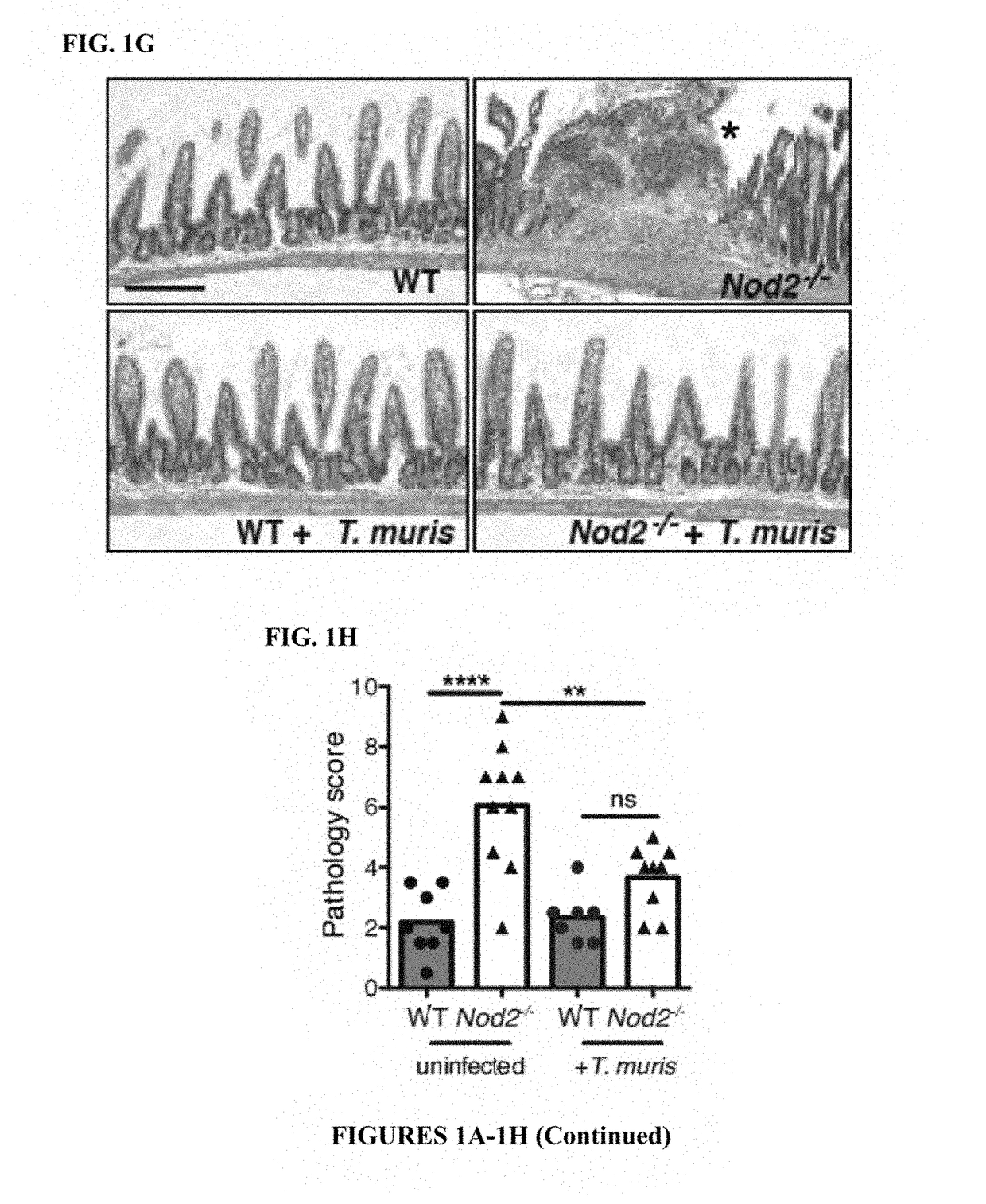 Methods and compositions for treating dysbiosis and gastrointestinal and inflammatory disorders