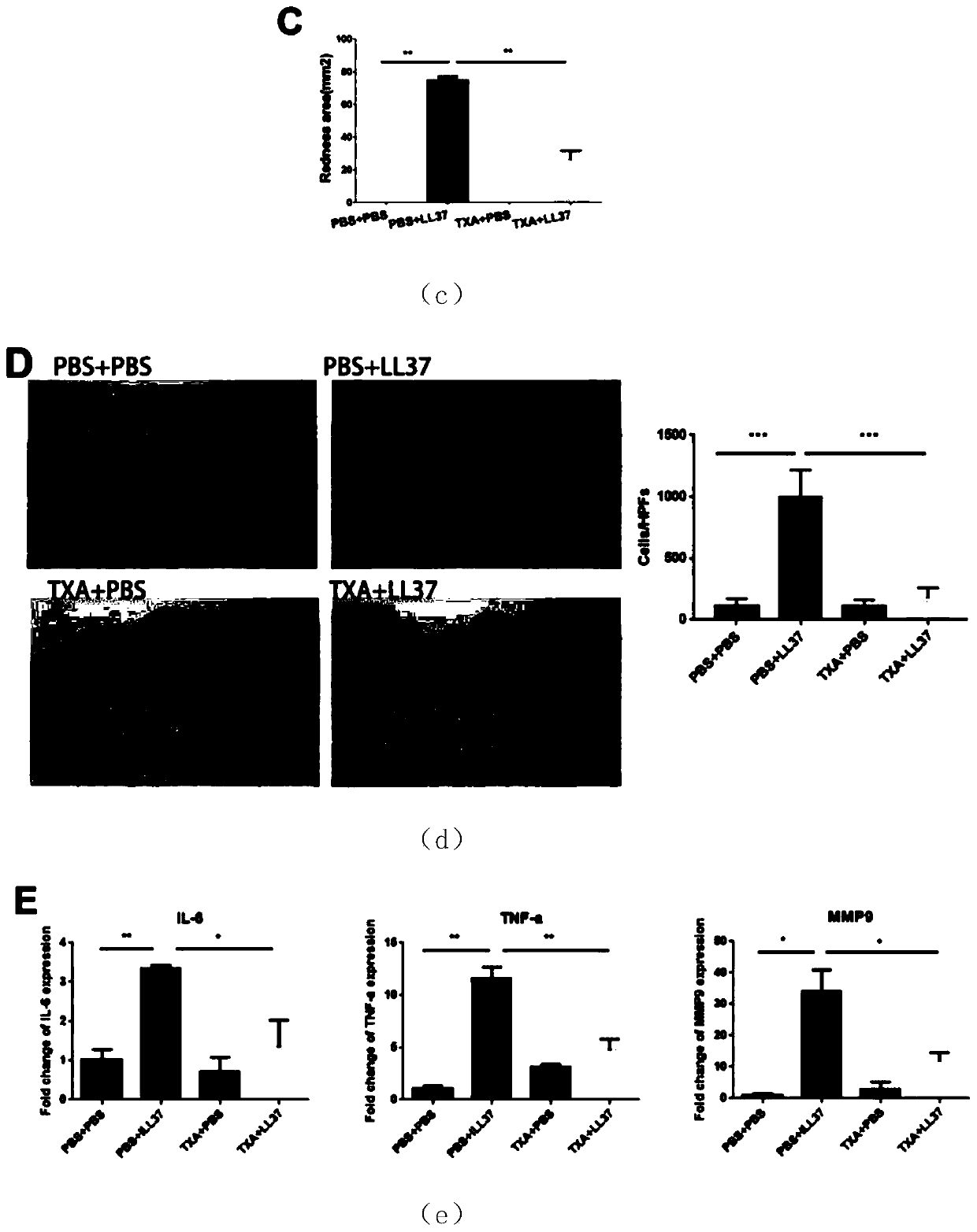 Medicine for improving symptoms of acne rosacea, animal model of medicine and construction method of animal model