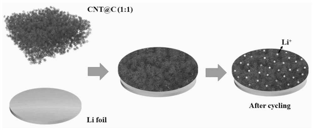 A kind of preparation method of lithium metal battery negative electrode side interlayer material that prevents lithium dendrite