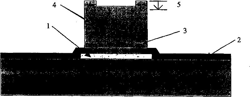 Method for producing golden convex points with more smooth surface