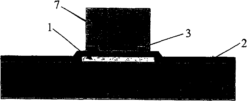 Method for producing golden convex points with more smooth surface