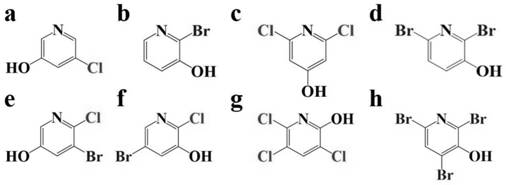 A detection method for disinfection by-products of halogenated pyridinium alcohols in water