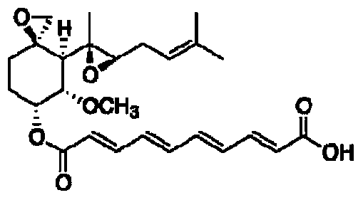 A kind of method utilizing Aspergillus fumigatus to produce fumagillin