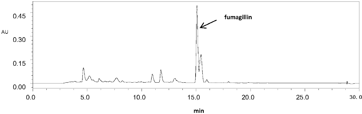 A kind of method utilizing Aspergillus fumigatus to produce fumagillin