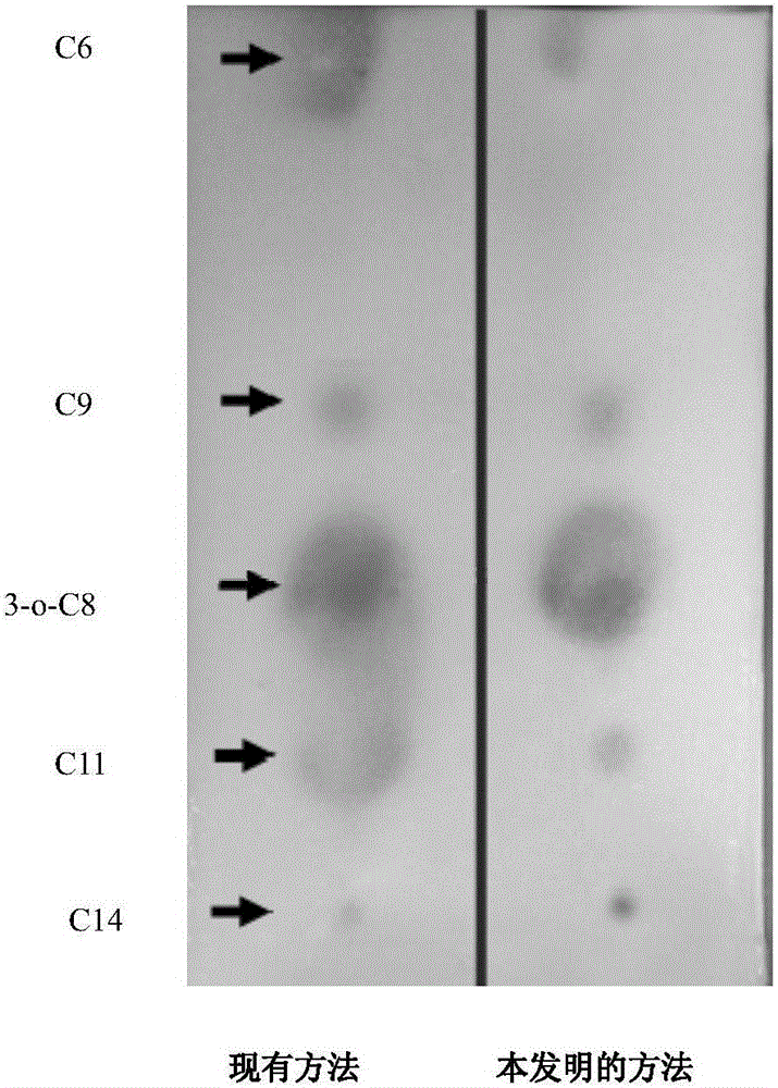 Method for detecting N-acyl-homoserine lactone quorum sensing signal molecules in sample