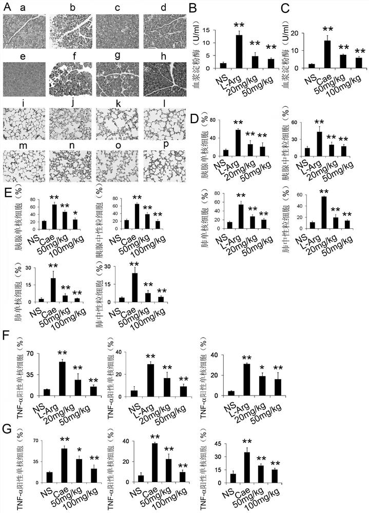 Use of jmjd3 inhibitors in the preparation of medicines for preventing and treating pancreatitis