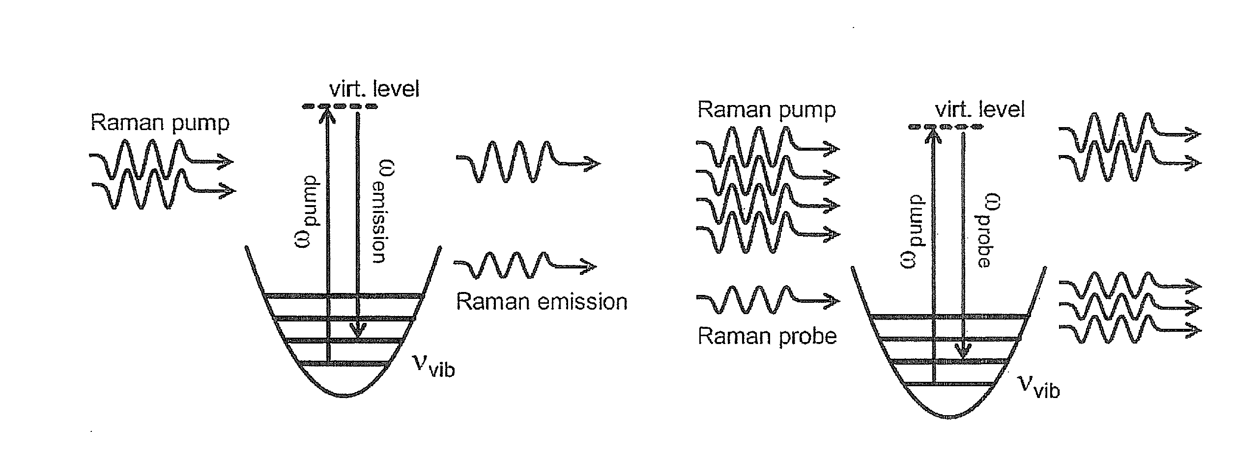 System and Method for Stimulated Raman Spectroscopy