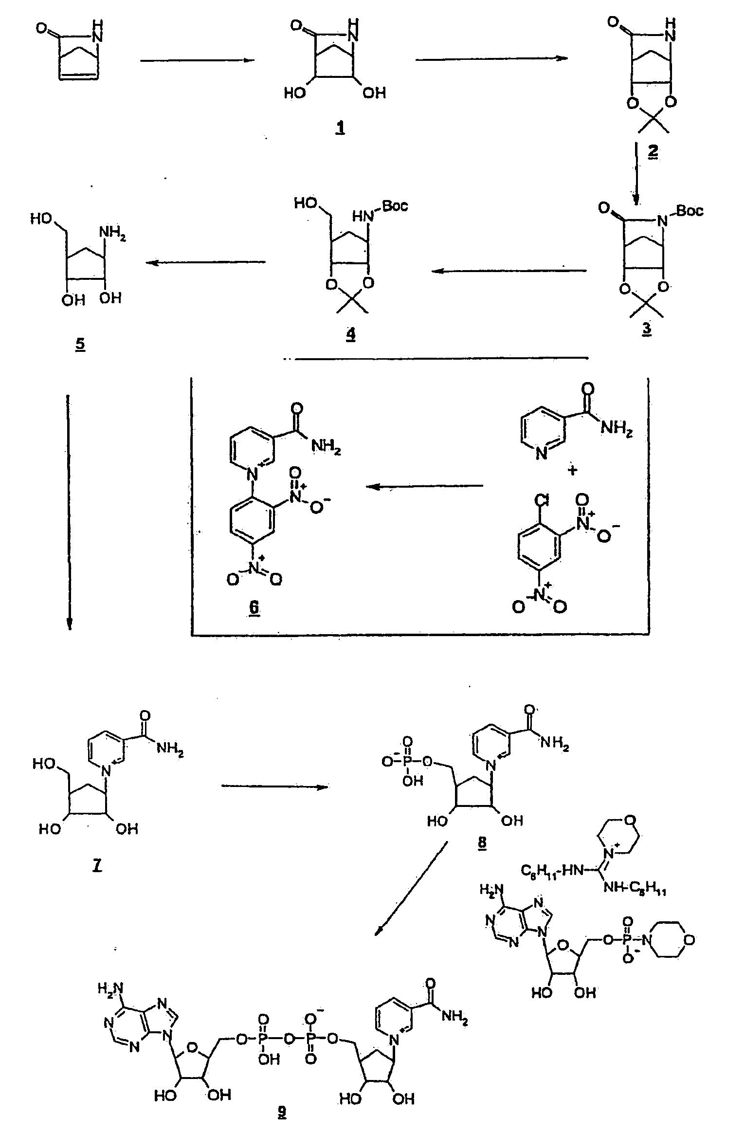 Stable nad/nadh derivatives