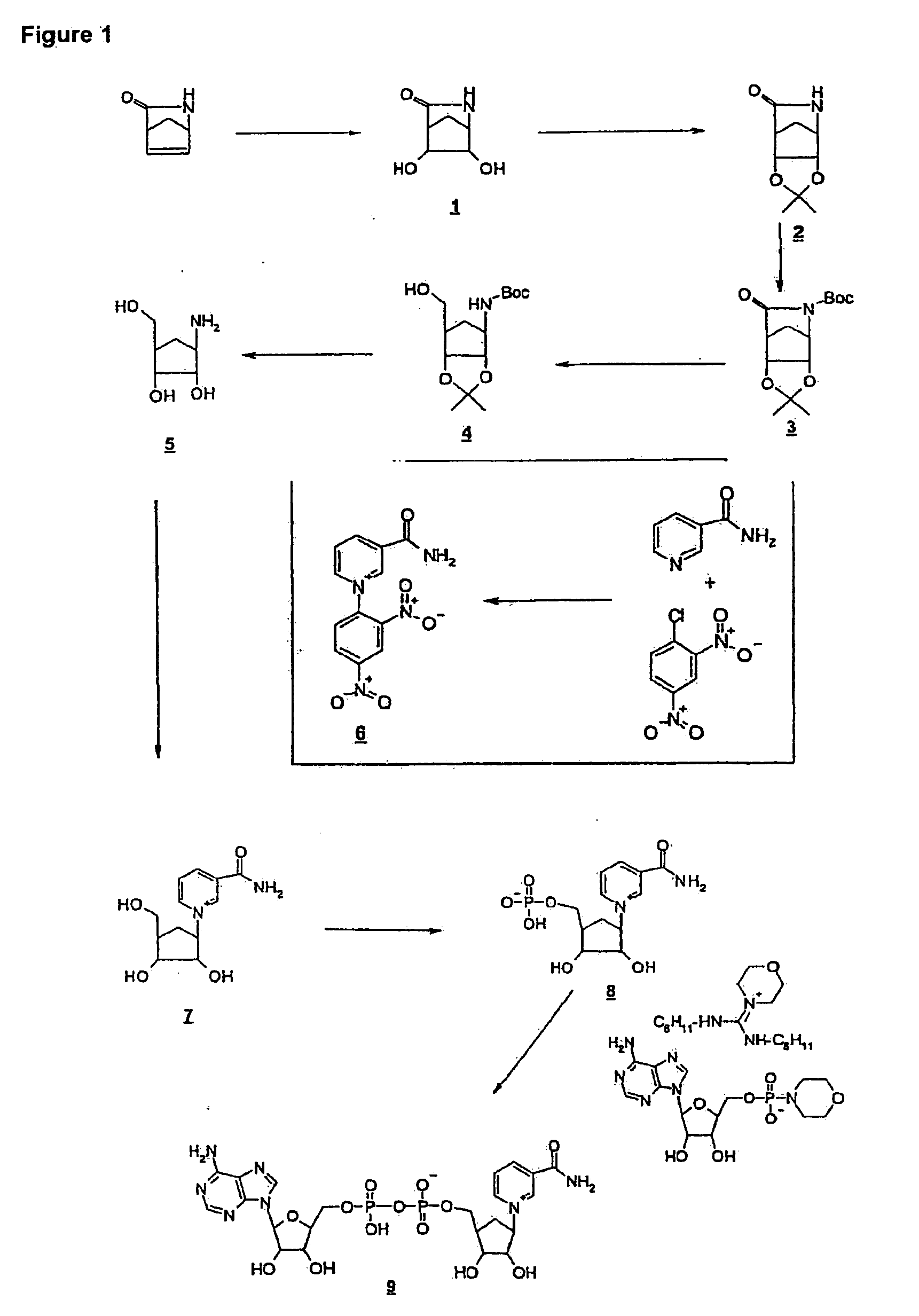Stable nad/nadh derivatives