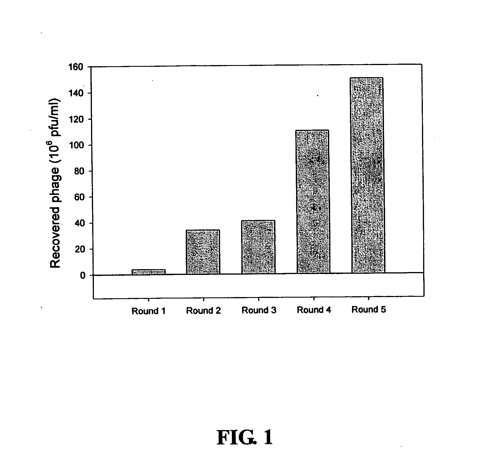 Peptide marker targeting to nasopharyngeal carcinoma cell and application thereof