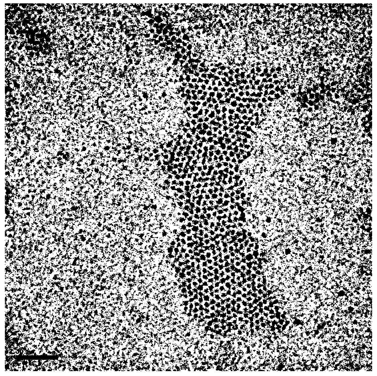 Green preparation method of cadmium selenide quantum dots with specific sizes