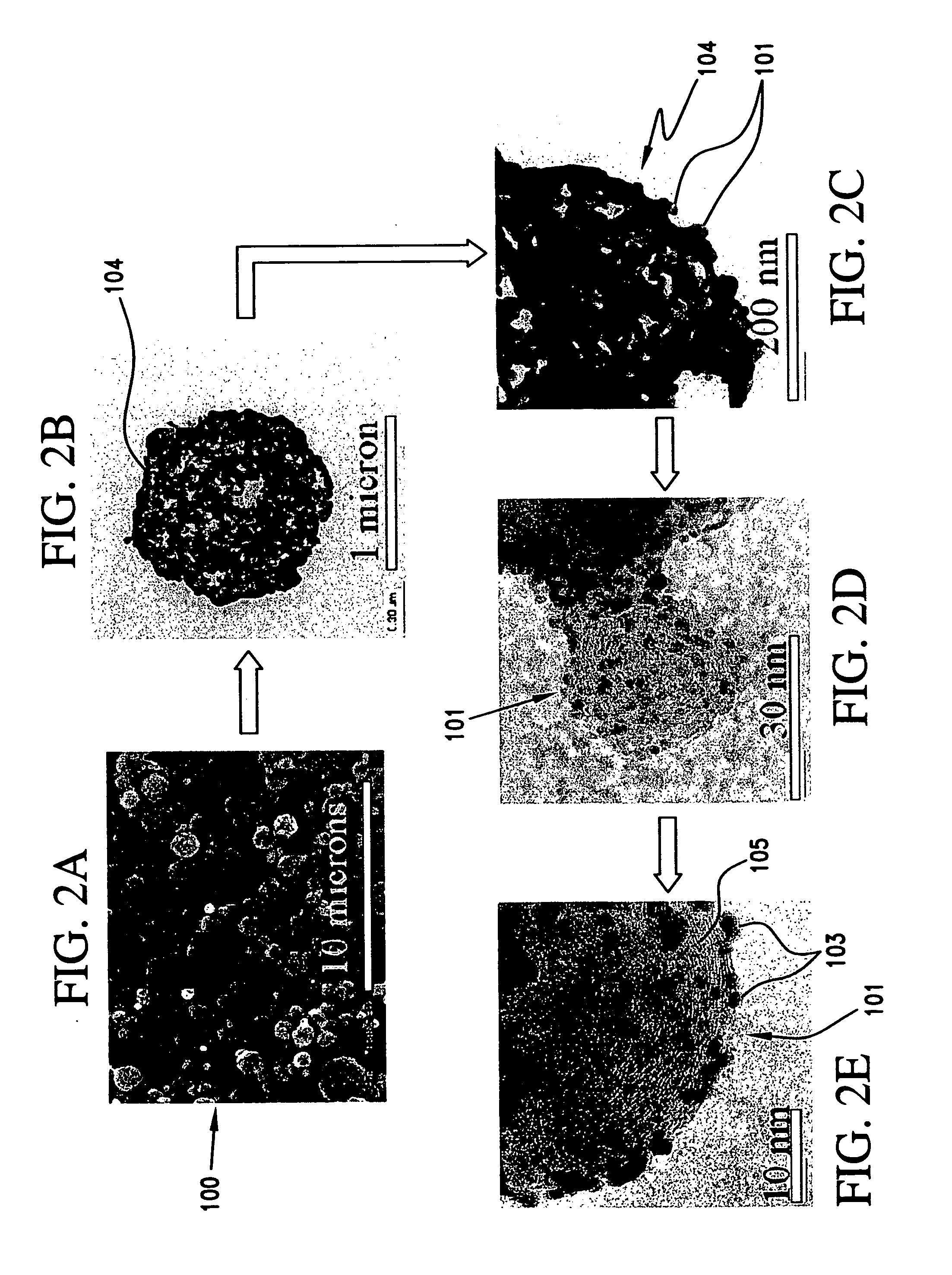 Alloy catalyst compositions and processes for making and using same