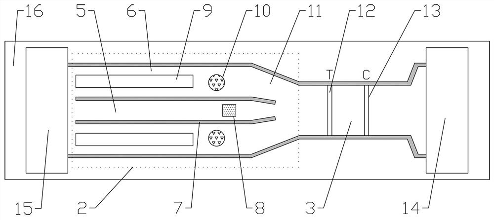 A diabetic foot wound exudate detection chip