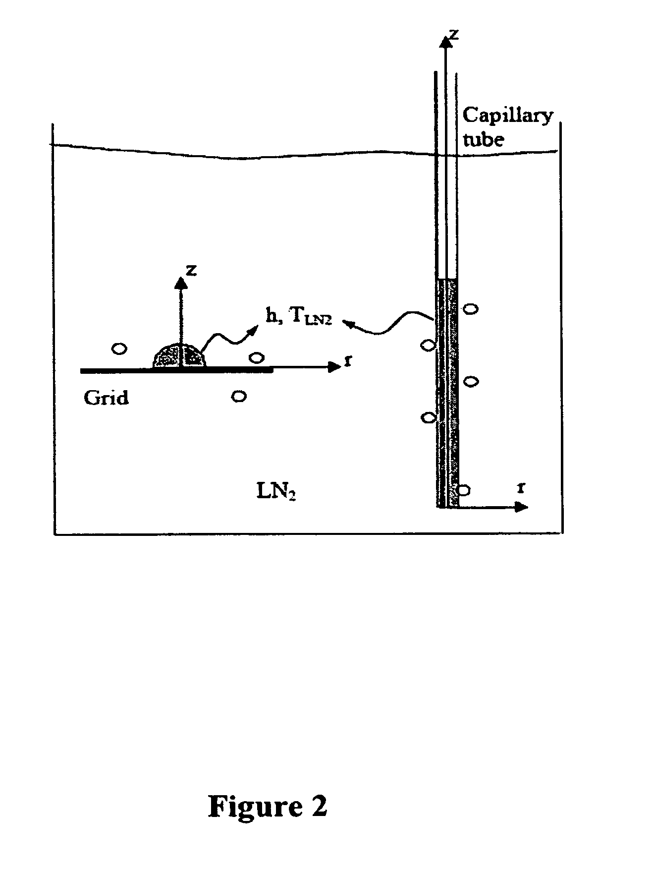 Methods for the cryopreservation of cells
