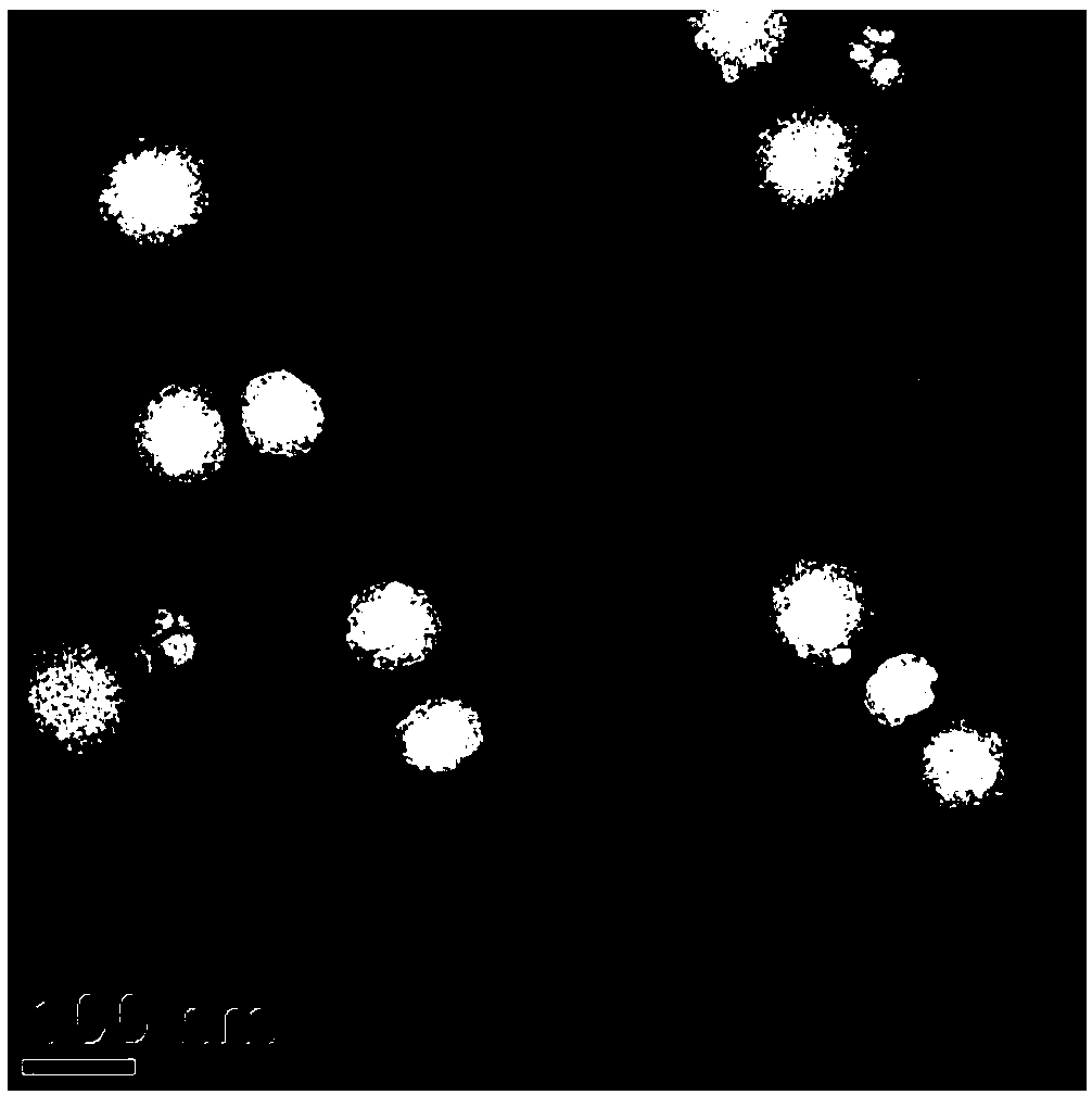 ZL006 cyclohexyl ester polymer nanometer drug delivery system and preparation method thereof