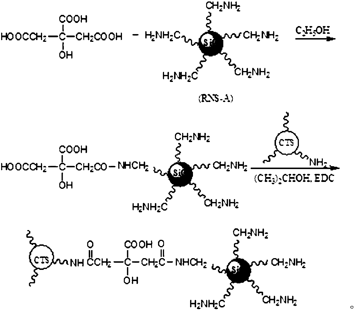 Chitosan-based metal ion adsorbent and preparation method thereof