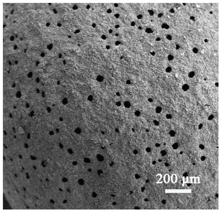 A kind of porous calcium phosphate microsphere material with surface macropores, preparation method and application