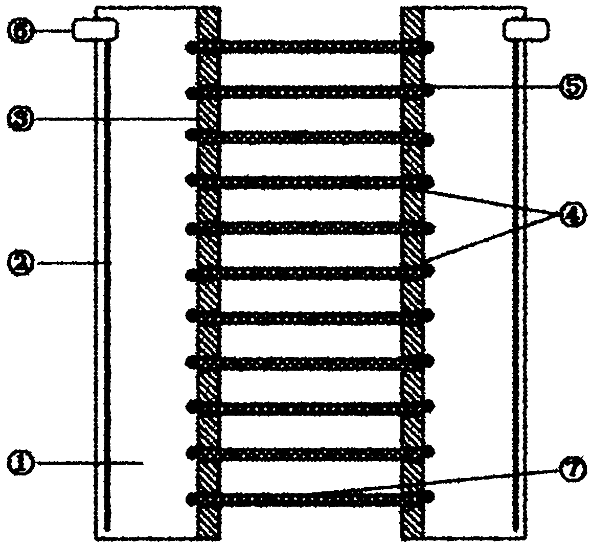 Miniature capillary array device for isoelectric focusing electrophoresis