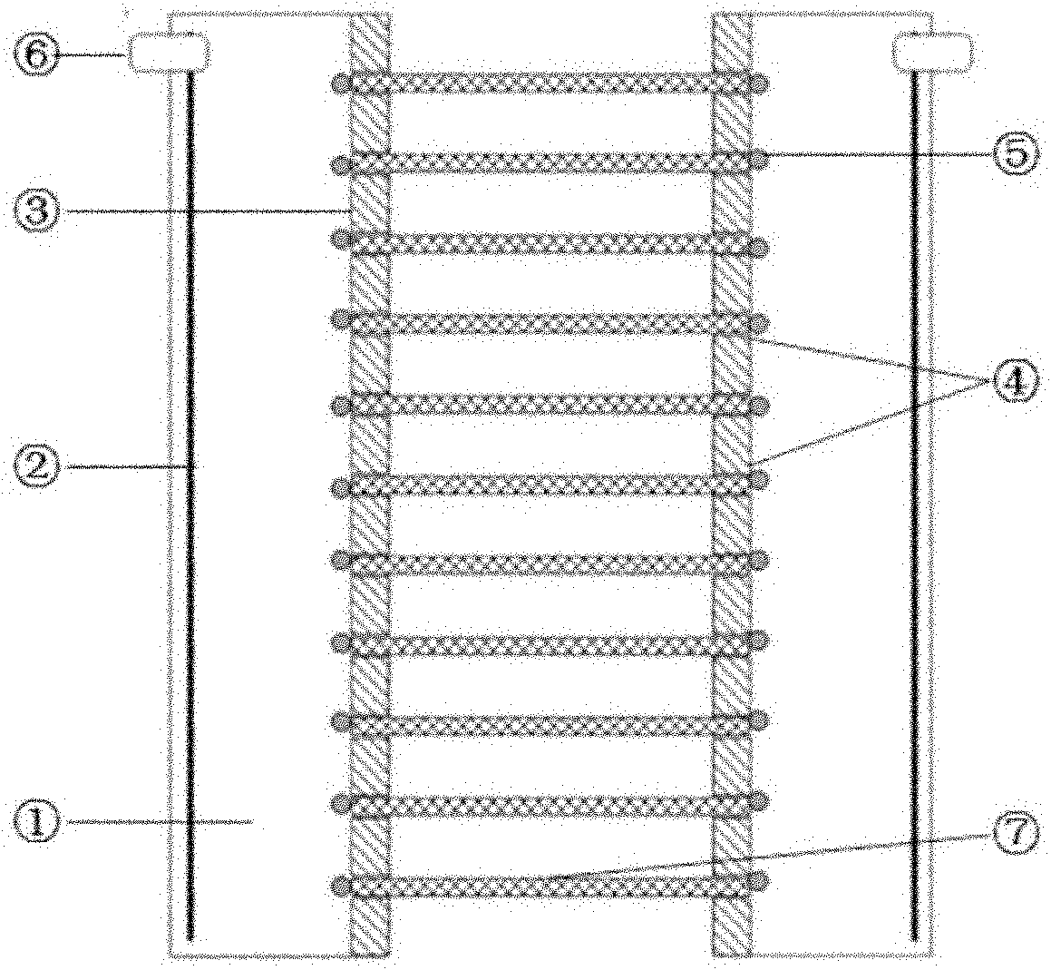 Miniature capillary array device for isoelectric focusing electrophoresis