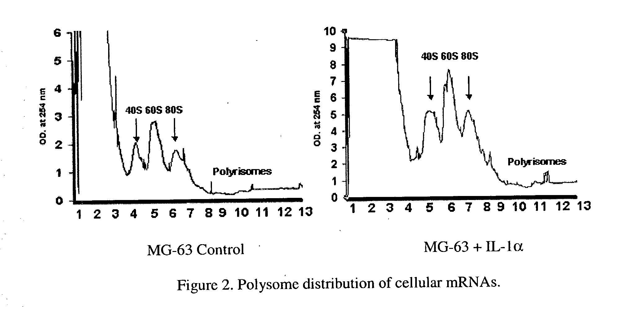 Method for analyzing a nucleic acid
