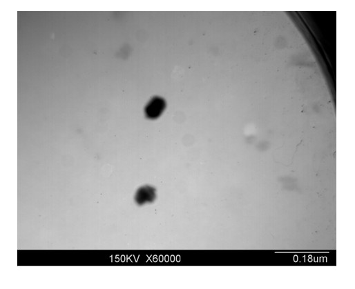 Method for preparing thick film from polycrystalline ca0.4sr0.6bi4ti4o15 nano-powder with perovskite structure