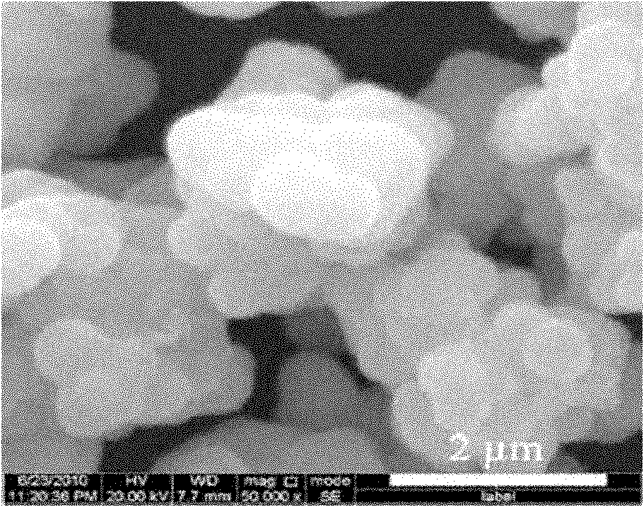 Composite photocatalyst and preparation method thereof