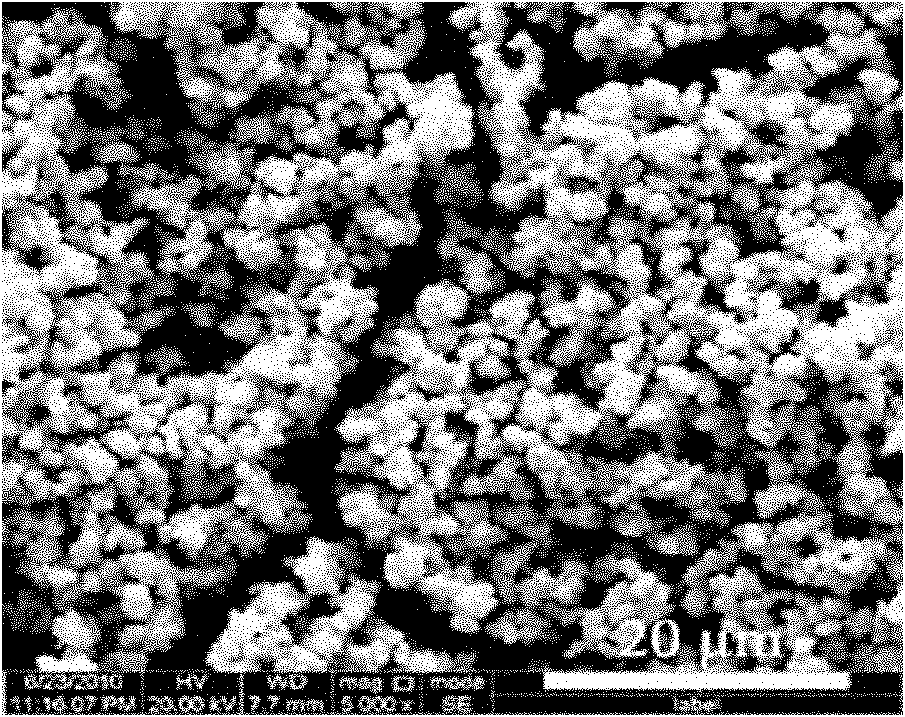 Composite photocatalyst and preparation method thereof