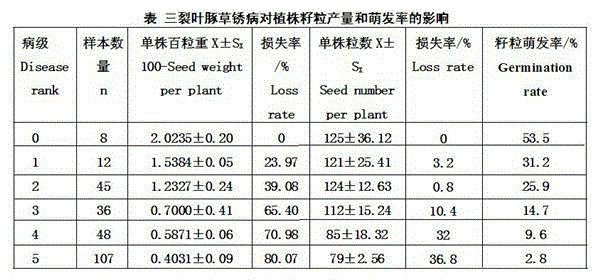 Method for controlling ambrosia trifida by using rust fungus