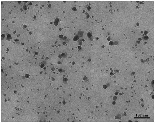 Method for preparing efficient and stable composite nano-silver bacteriostatic agent from lotus root extract through one-step method