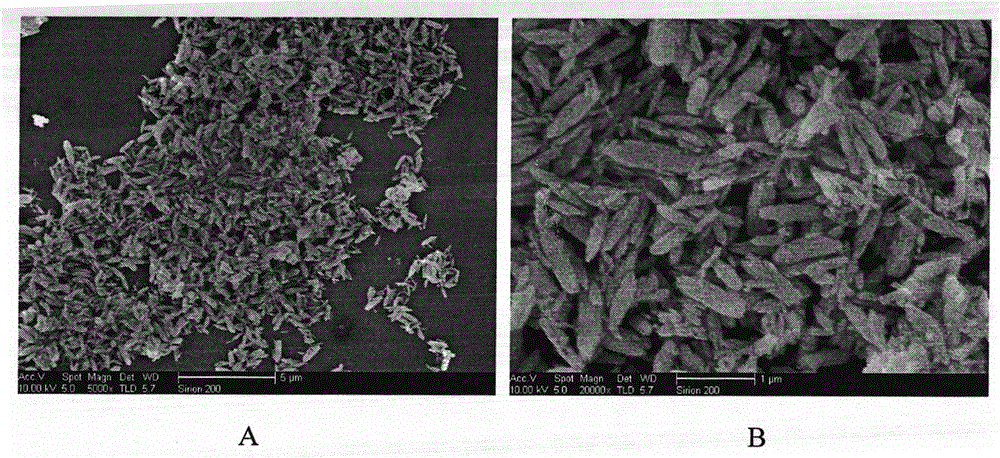 A method for synthesizing bipo4 micro- and nano-powders in ultrasonic liquid phase