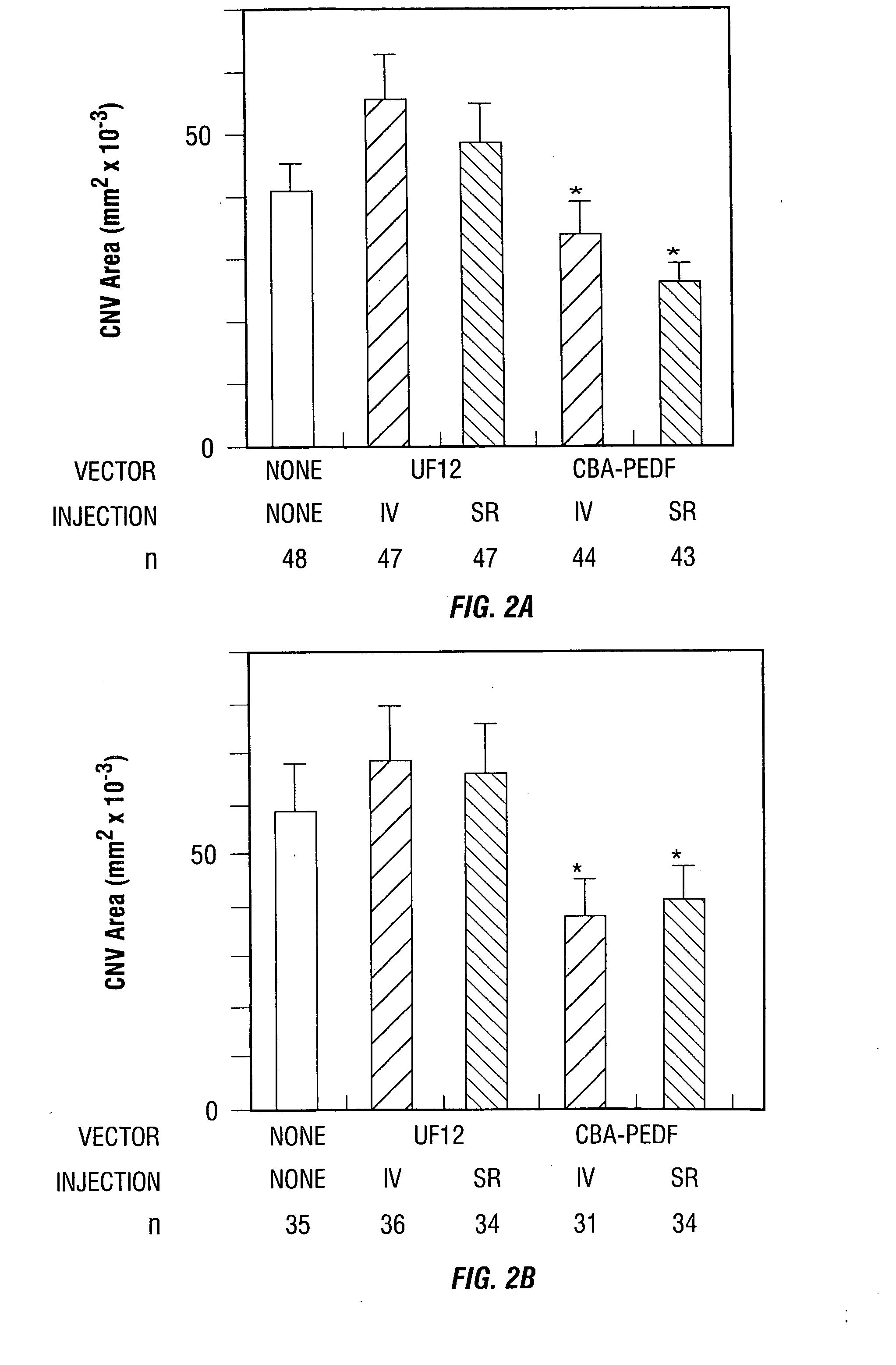 Raav vector compositions and methods for the treatment of choroidal neovascularization