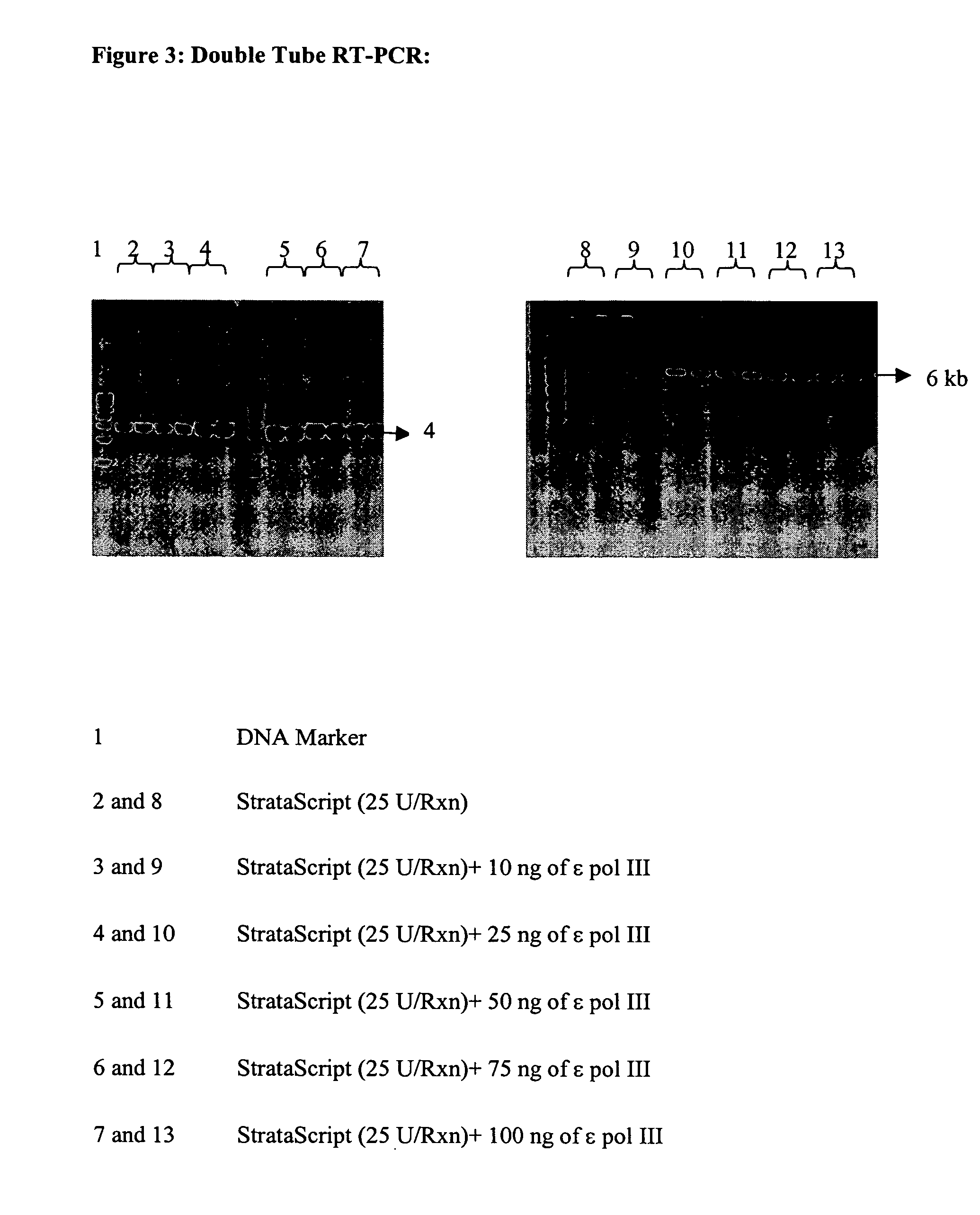 Compositions and methods for reverse transcription