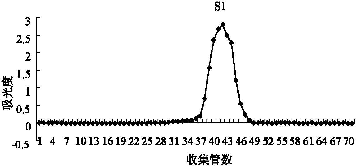 Isatis root polysaccharides, and preparation method and use thereof