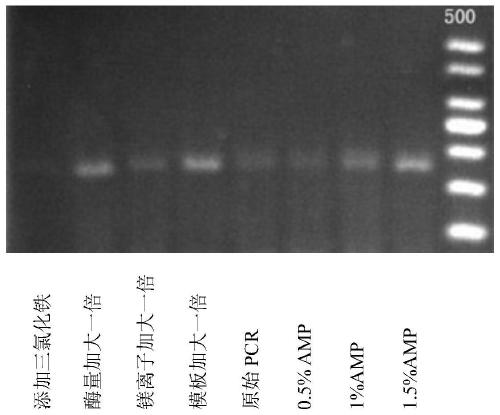 Method for improving PCR (polymerase chain reaction) amplification efficiency