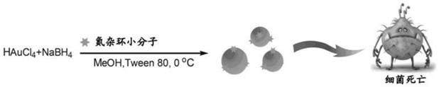 An antibacterial agent based on gold nanoparticles surface-modified nitrogen-heterocyclic small molecules