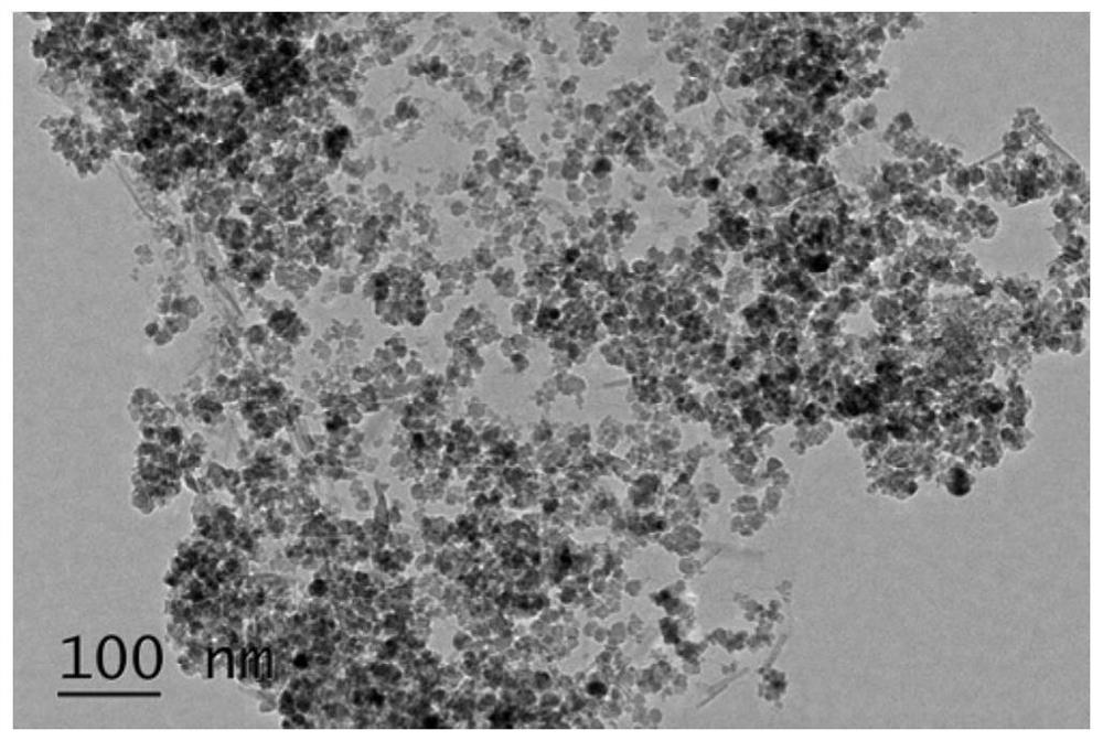 A method for detecting Escherichia coli based on magnetic graphene oxide composite Venus@gold-silver alloy nanoparticles