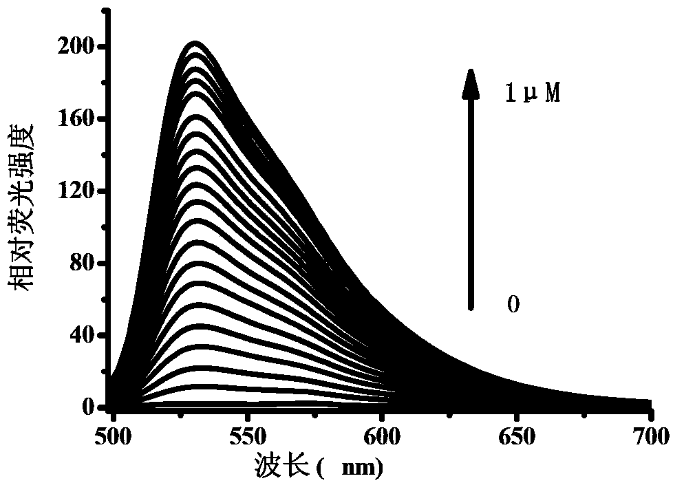 Green fluorescence cyanine dye and preparation method as well as application thereof