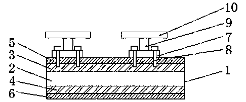 Conveying belt for express package sorting tray