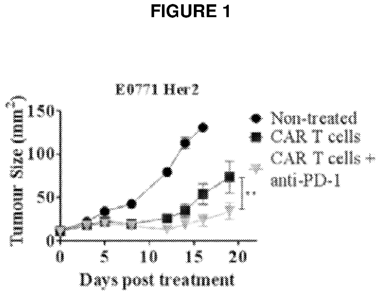 Modified t cells and uses thereof