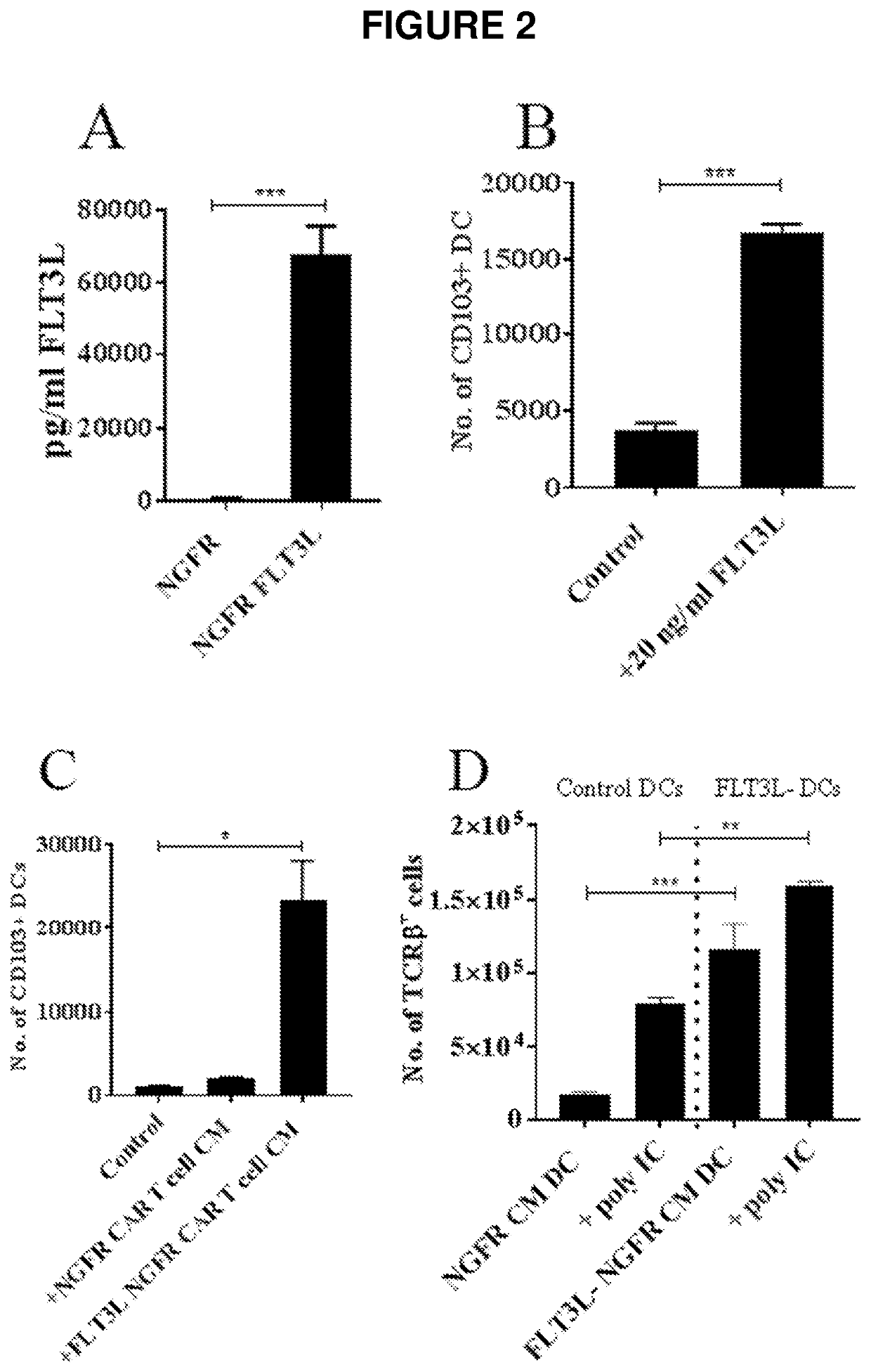 Modified t cells and uses thereof