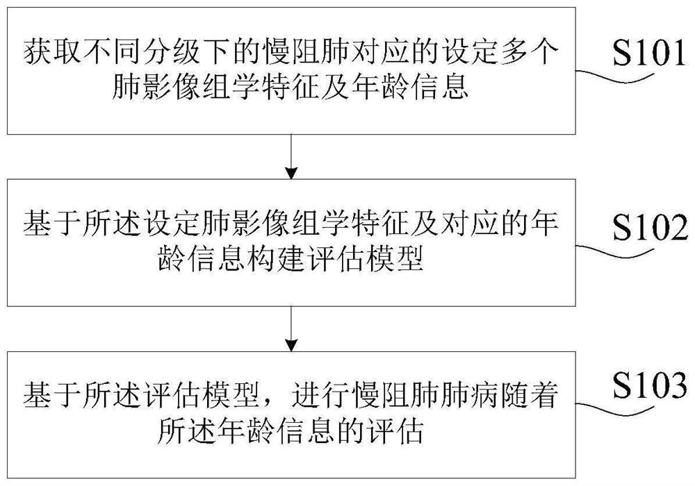 Risk assessment and decision-making method and device for chronic obstructive pulmonary disease, electronic equipment and medium