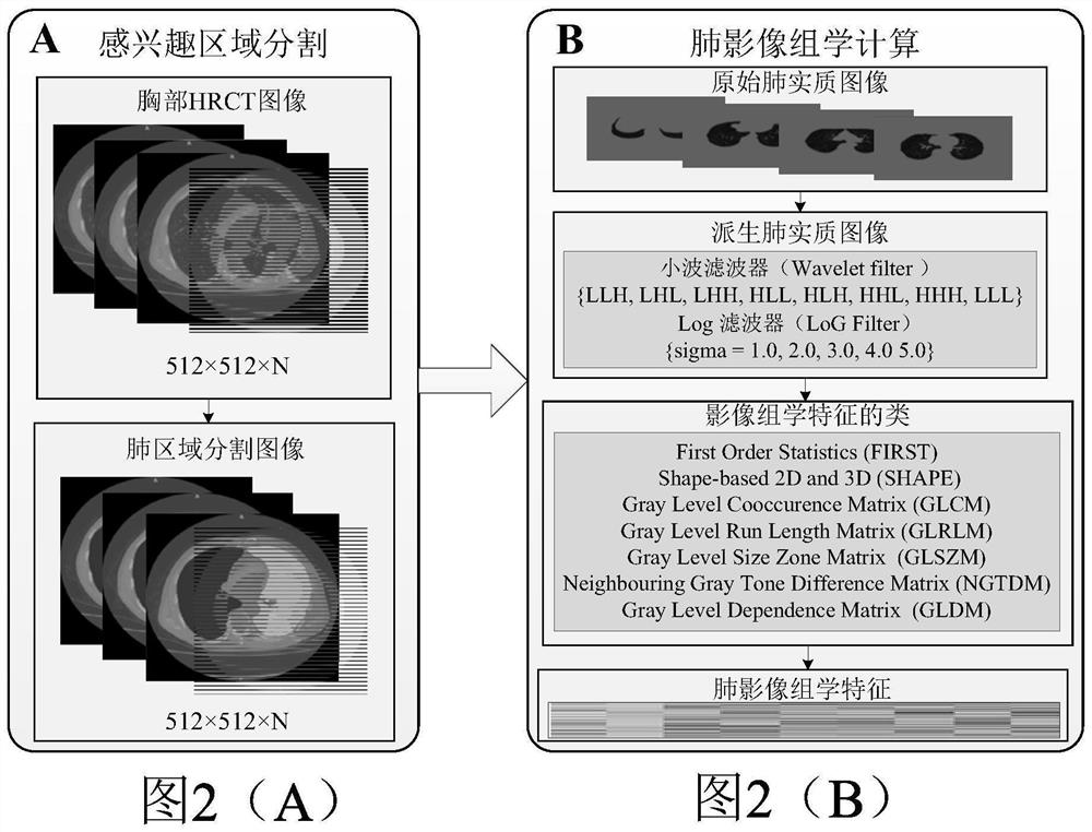 Risk assessment and decision-making method and device for chronic obstructive pulmonary disease, electronic equipment and medium