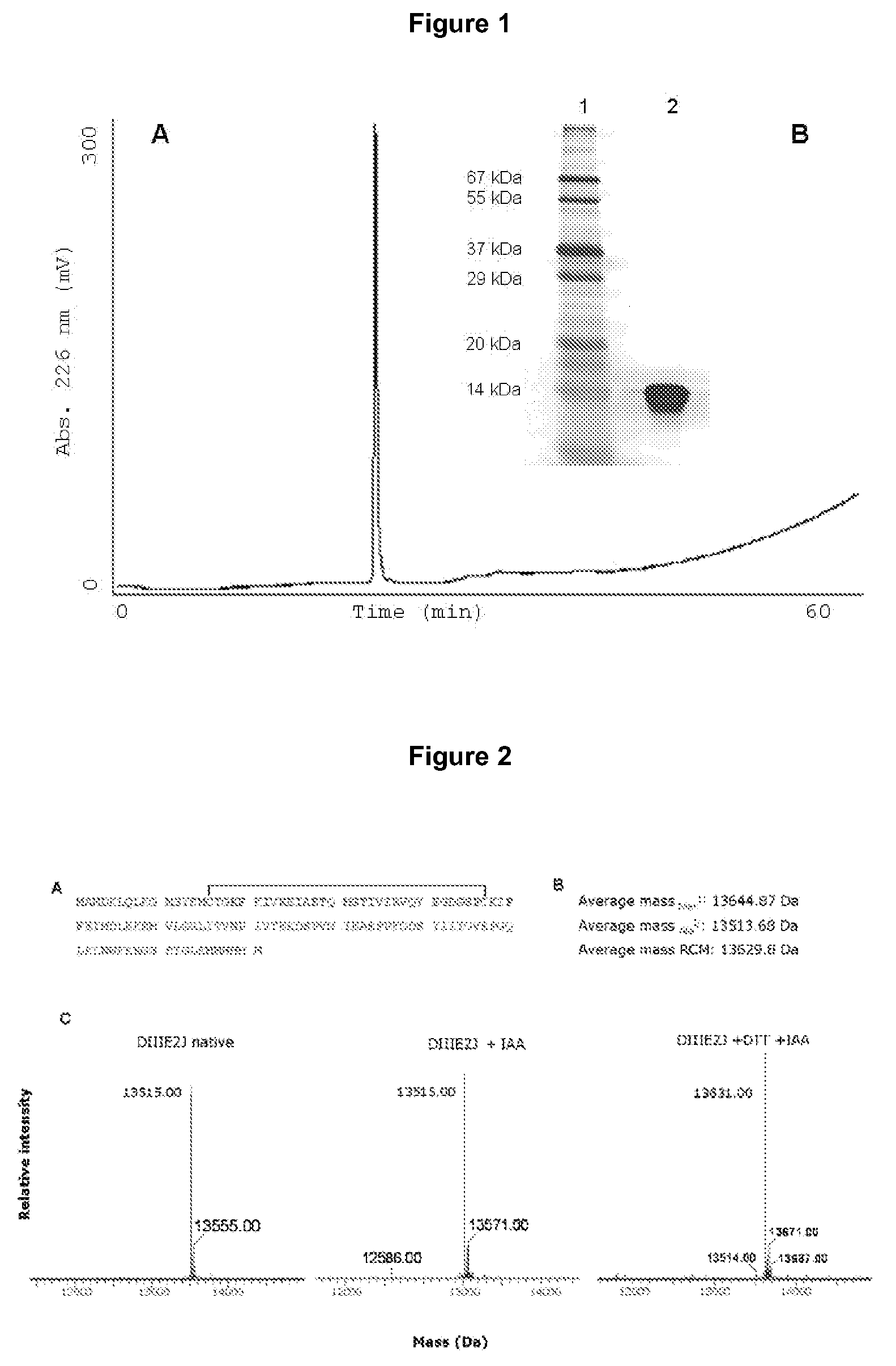 Method to block the infection by flaviviruses, molecules and uses