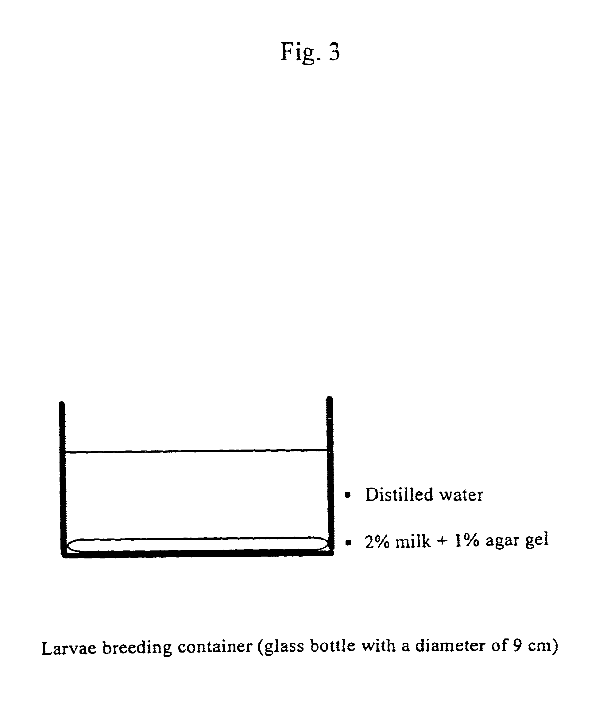 Method for dry-preserving multicellular organism tissue at ordinary temperatures