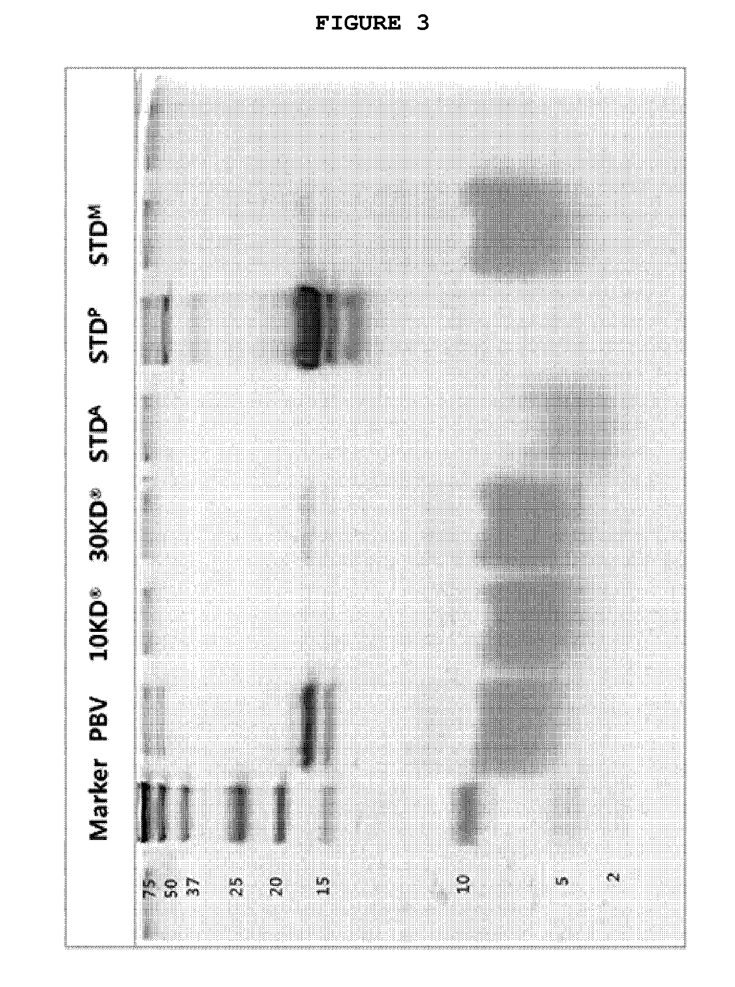 Preparation of bee venom with allergenic components removed