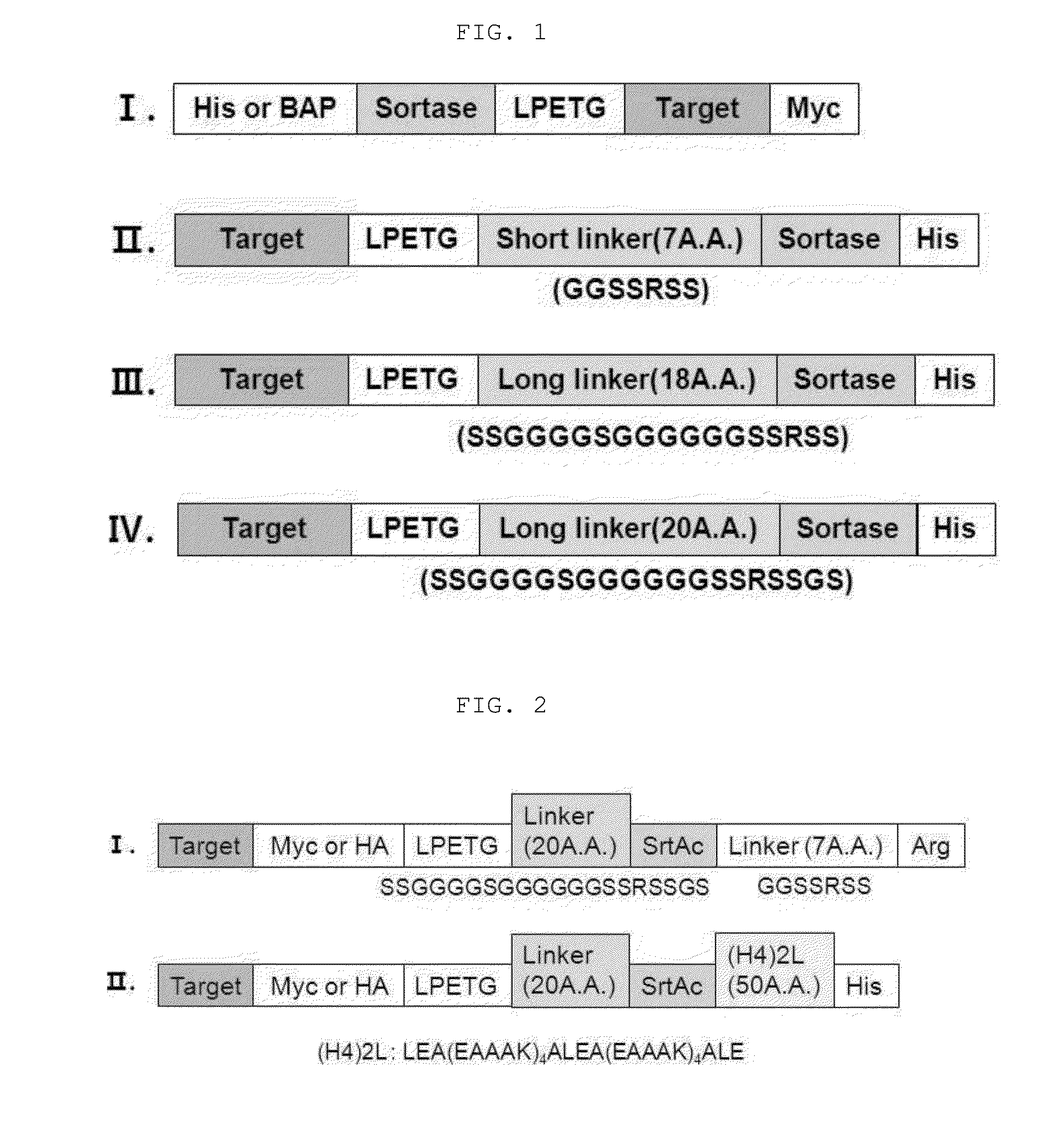 Method for refining protein including self-cutting cassette and use thereof