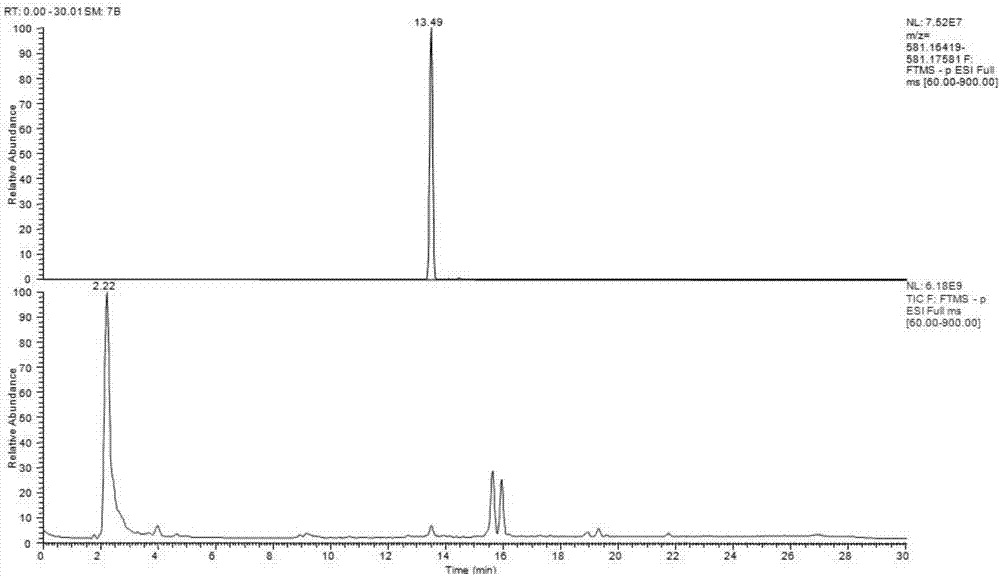 Method for rapidly identifying and detecting manuka honey