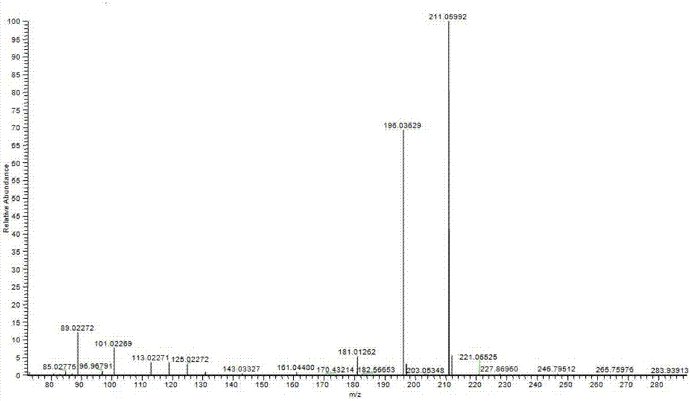 Method for rapidly identifying and detecting manuka honey