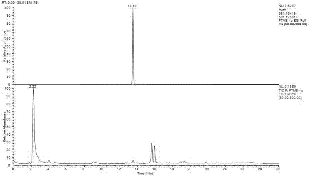 Method for rapidly identifying and detecting manuka honey