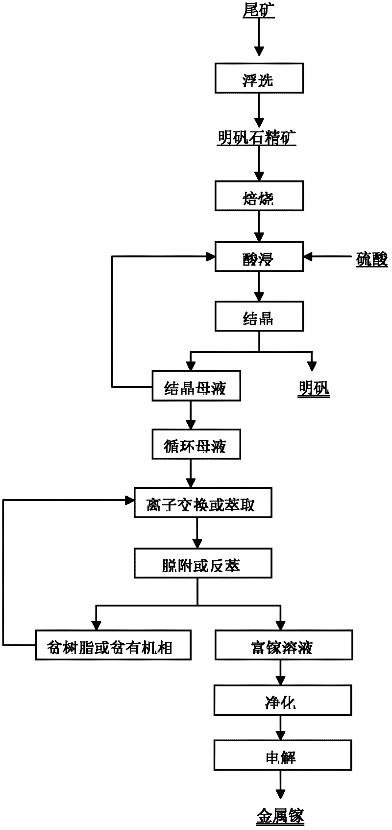 Method for recycling gallium in alunite concentrate